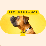Understanding Pet Insurance in the USA: A Guide for Pet Owners